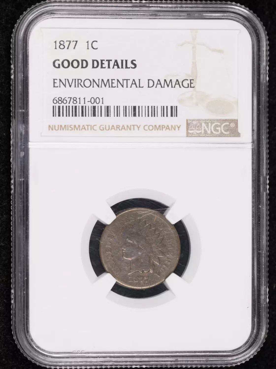 1877 Small Cents Indian Head NGC G Details BN