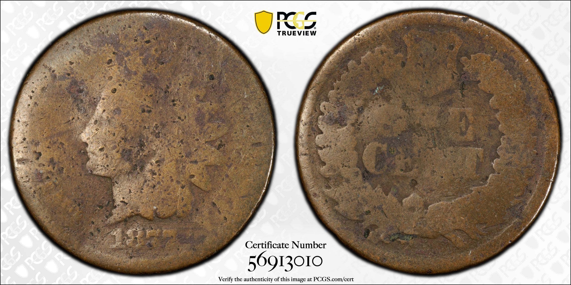 1877 P Small Cents Indian Head PCGS Genuine - P/FR Details (98 - Damage) BN