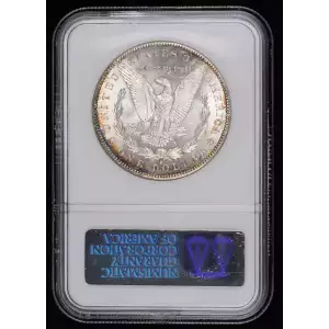 1894 (2)