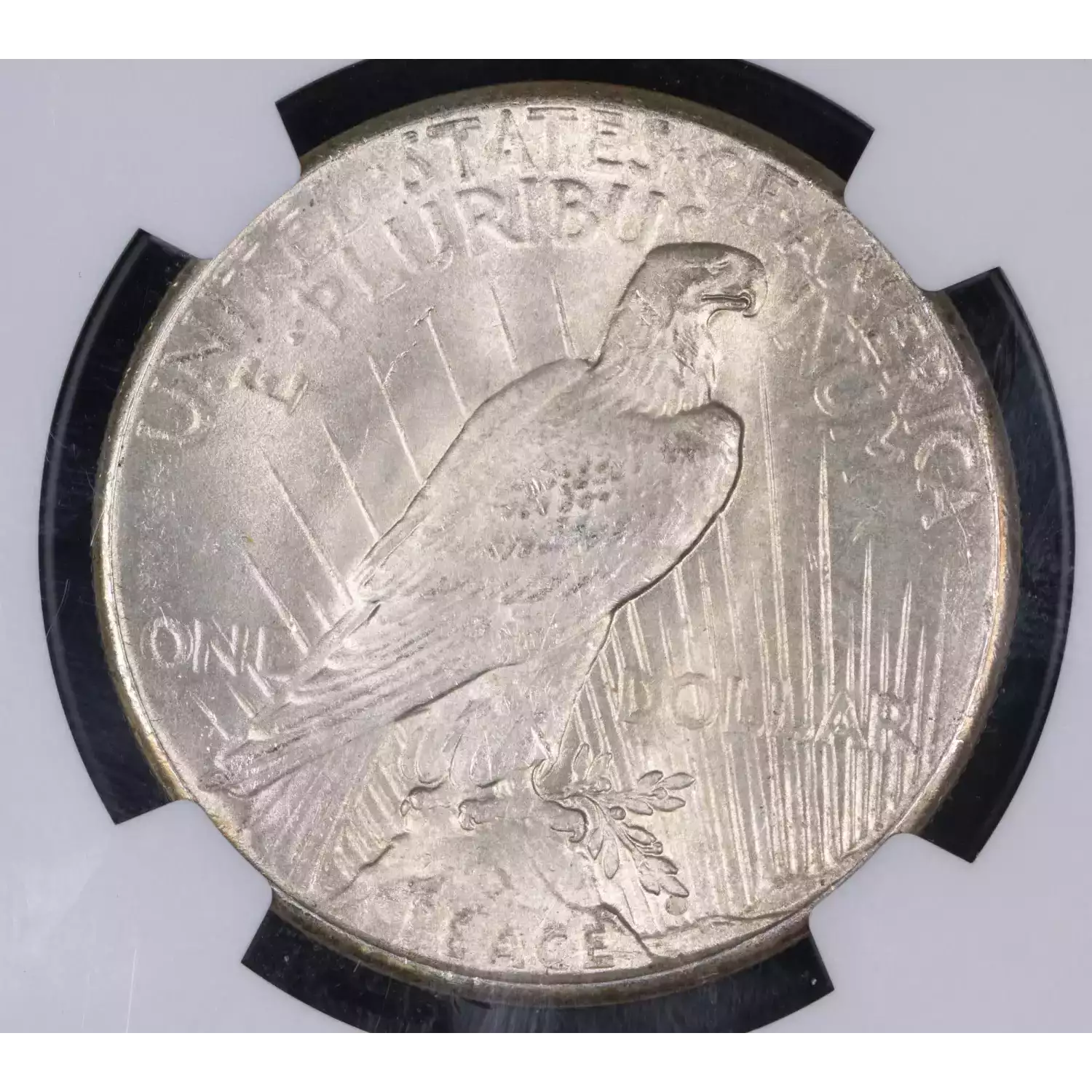 1926 Peace Silver Dollar NGC MS-62 - Hertel's Coins Inc.