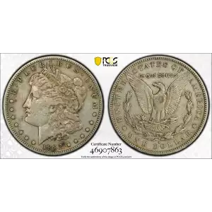 Morgan Silver Dollar (2)