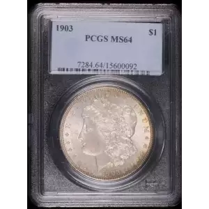 Morgan Silver Dollar