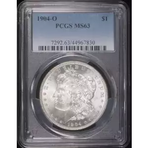 Morgan Silver Dollar